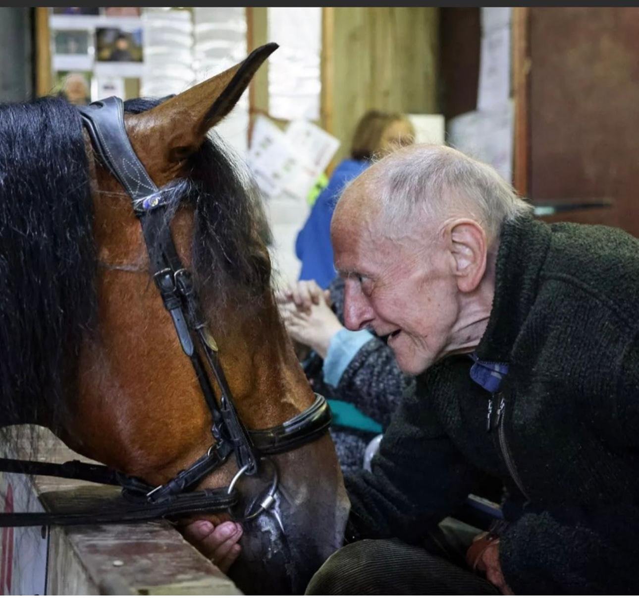 A guest at Tea with a Pony