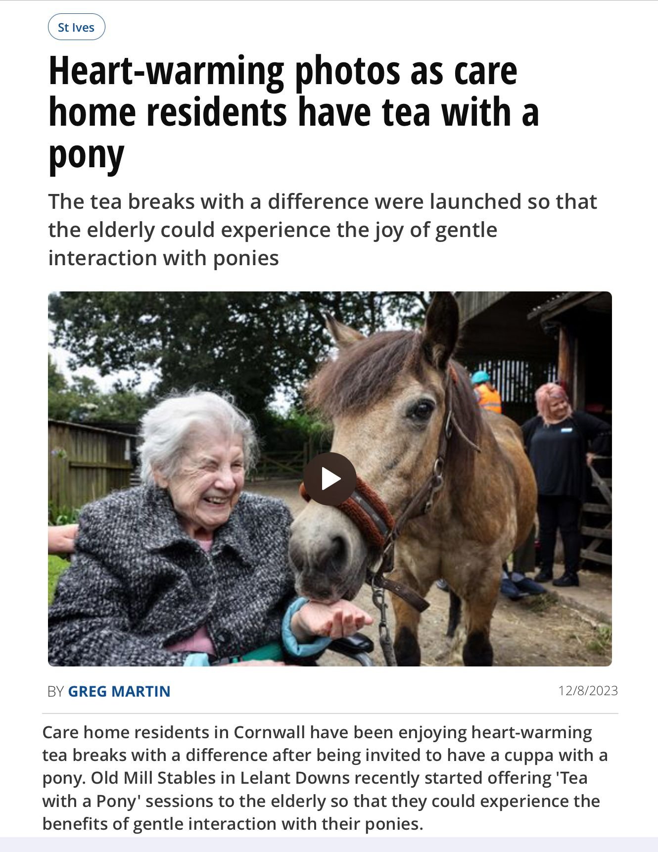 Guests enjoying Tea with a Pony