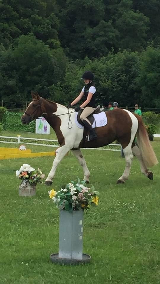 Outdoor dressage competition