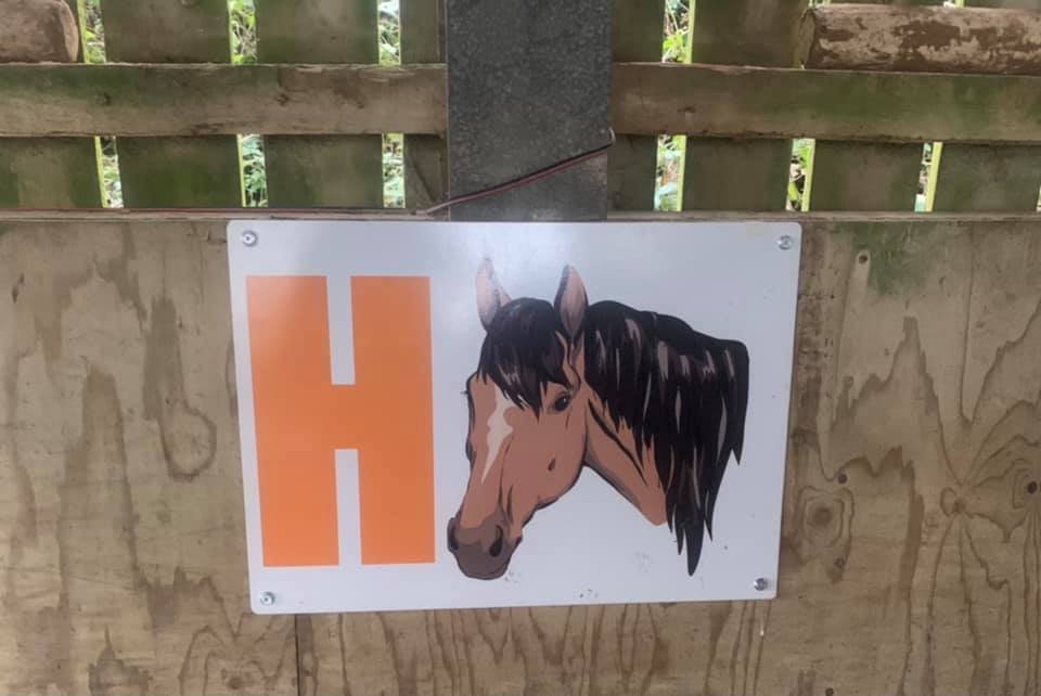 Colourful dressage letter signs with animal pictures to help riders learn the arena markers