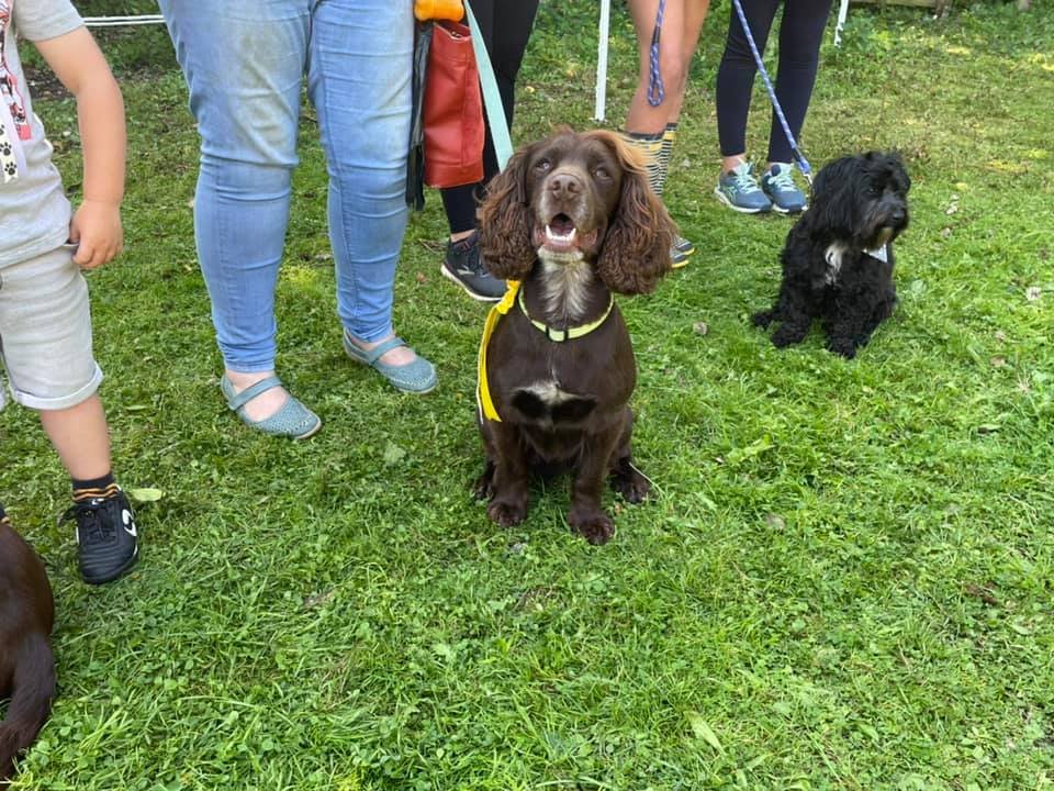 Session in the outdoor arena, sunny day